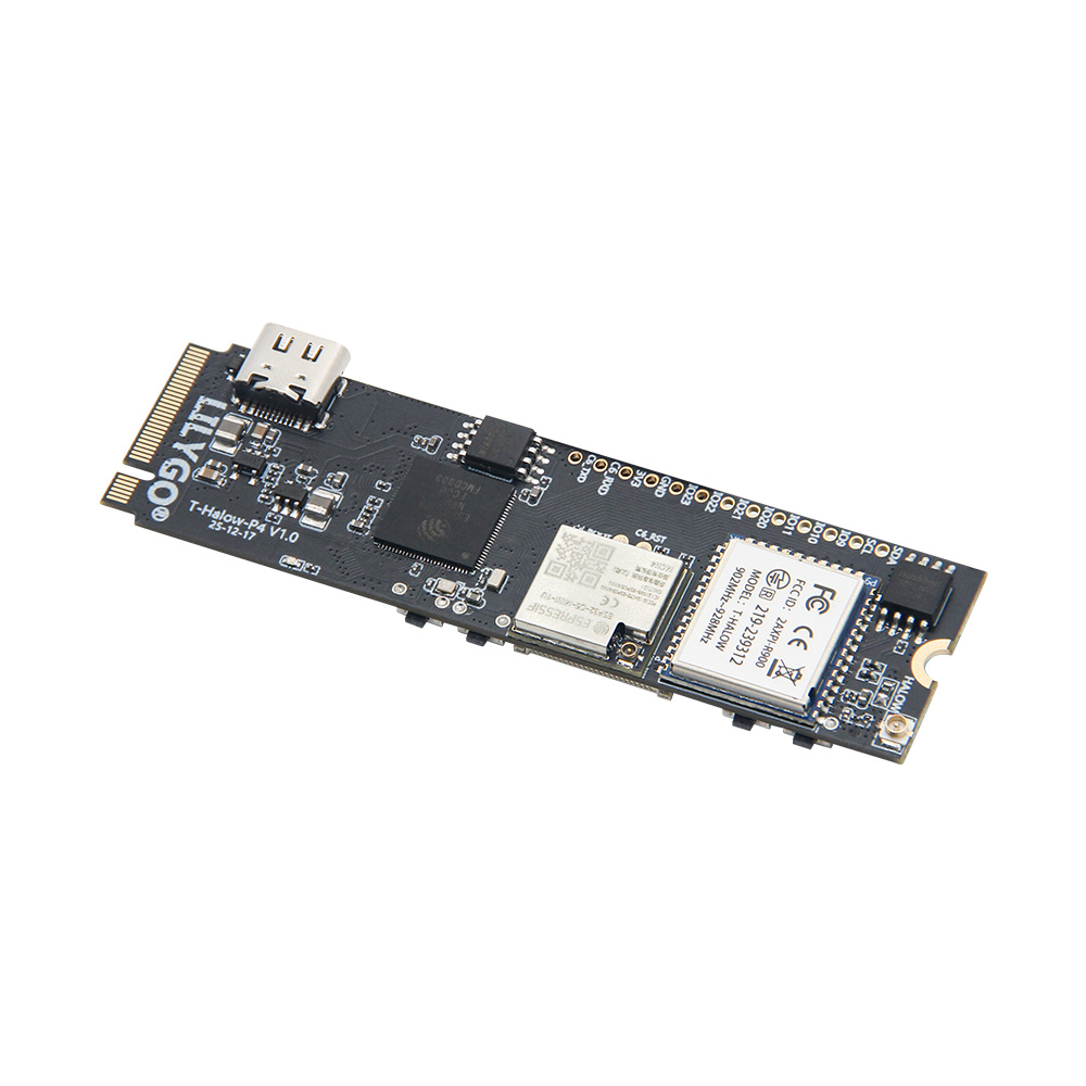 LILYGO ®   Scheda di sviluppo  - Esp32 P4 recensione e prezzo